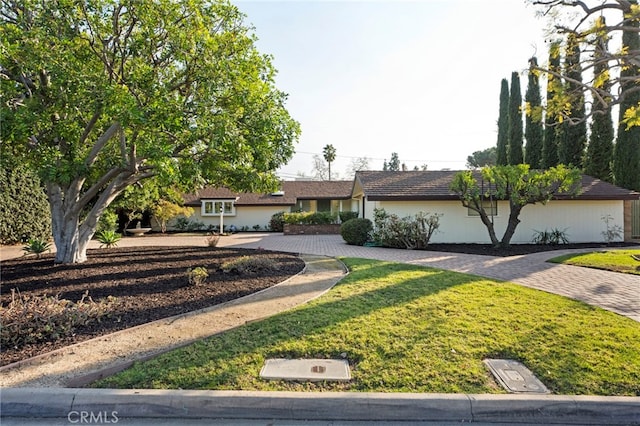 ranch-style home featuring a front yard