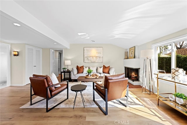 living room with lofted ceiling and light wood-type flooring