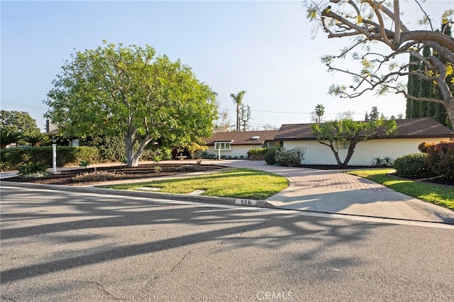 view of front of home featuring a front lawn