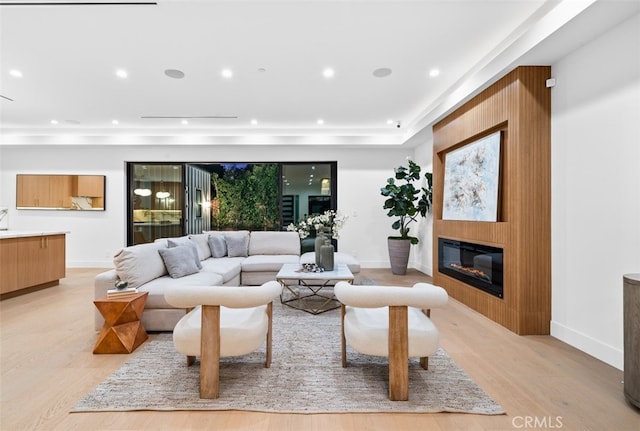 living room featuring a large fireplace and light hardwood / wood-style floors