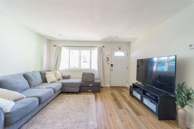 living room with light hardwood / wood-style floors