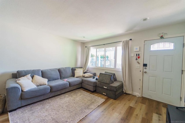 living room featuring hardwood / wood-style floors