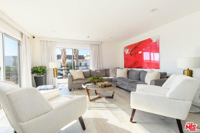 living room featuring a healthy amount of sunlight and light hardwood / wood-style flooring