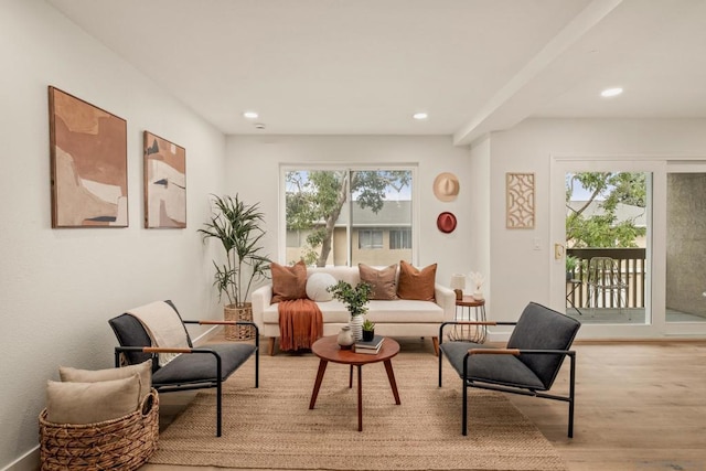 living area featuring light hardwood / wood-style flooring