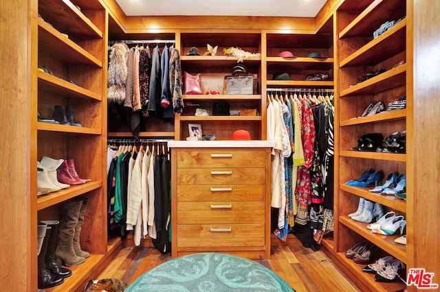 spacious closet featuring wood-type flooring