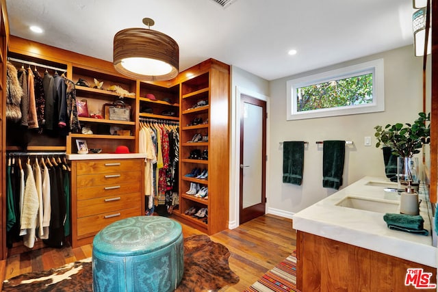 spacious closet with wood-type flooring