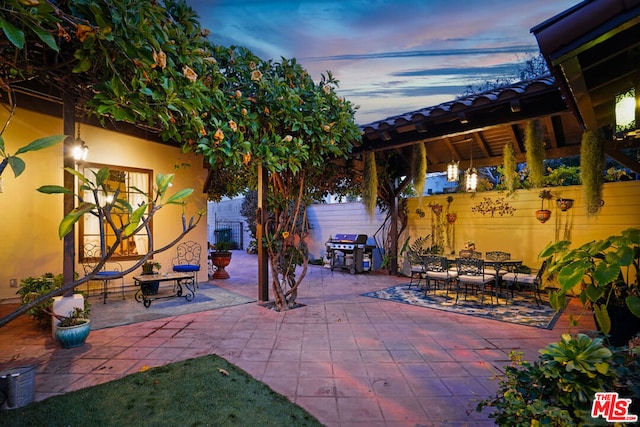 patio terrace at dusk with grilling area