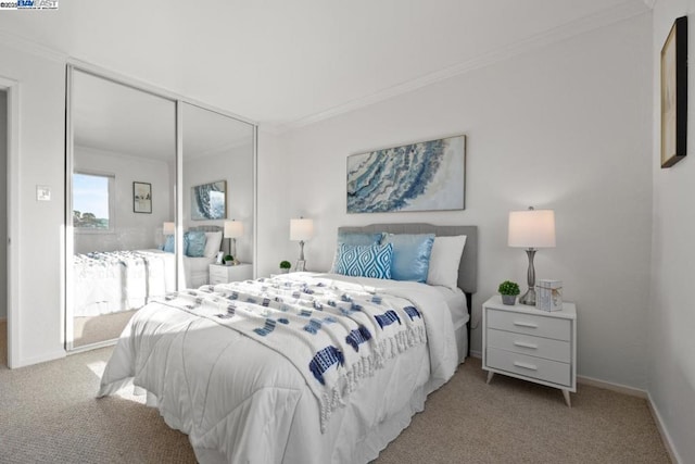 carpeted bedroom featuring ornamental molding and a closet