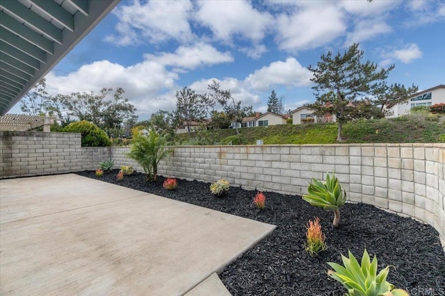 view of yard with a patio