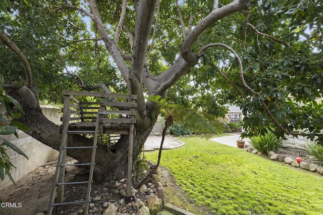 view of yard featuring a patio