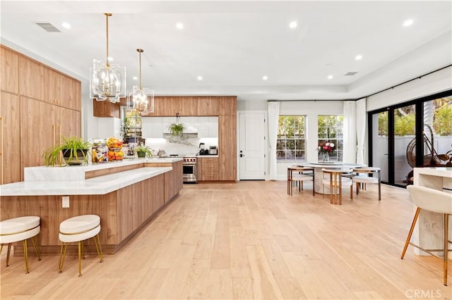 kitchen featuring pendant lighting, light hardwood / wood-style flooring, an inviting chandelier, a spacious island, and high end stainless steel range