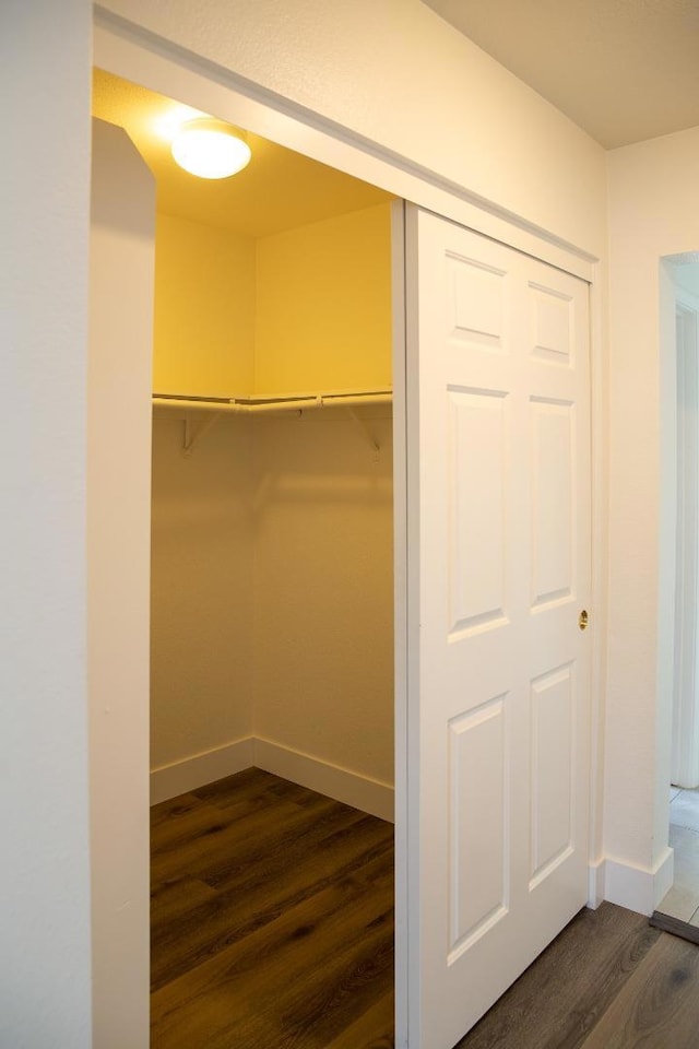 walk in closet with dark hardwood / wood-style flooring