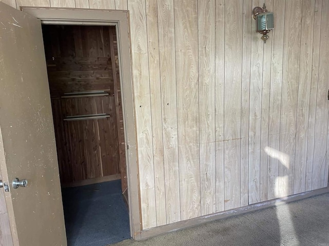 interior space featuring wooden walls and carpet flooring