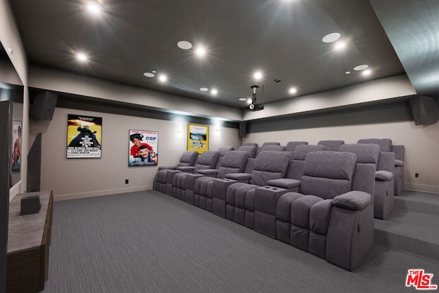 home theater room with dark carpet