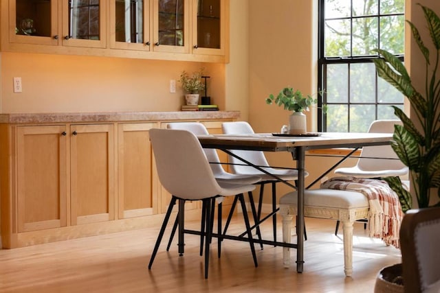 dining area with light hardwood / wood-style flooring