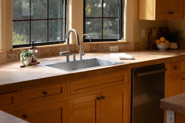 kitchen with dishwasher and sink