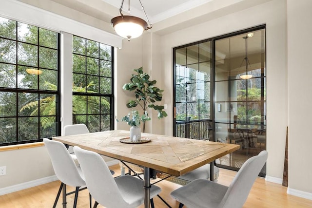 dining room with light wood-type flooring