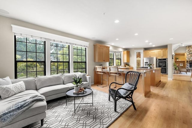 living room with light wood-type flooring