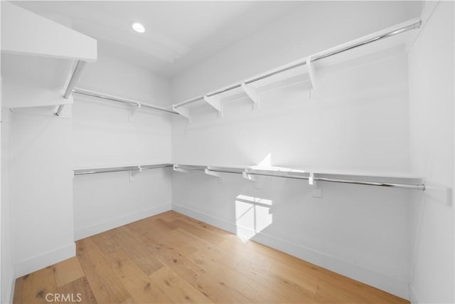 spacious closet featuring wood-type flooring