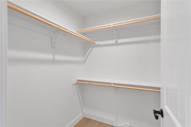 walk in closet with light wood-type flooring