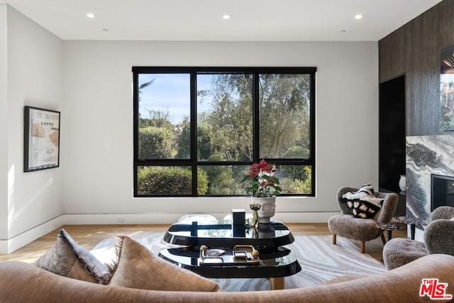 living room with light hardwood / wood-style flooring and a fireplace