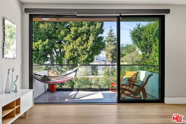 doorway featuring plenty of natural light and light hardwood / wood-style floors