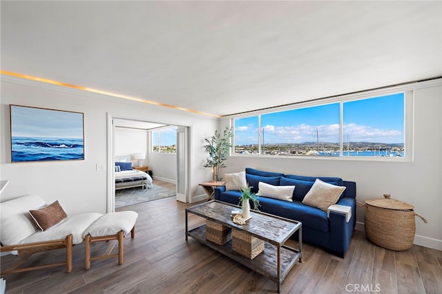 living area featuring wood finished floors and baseboards