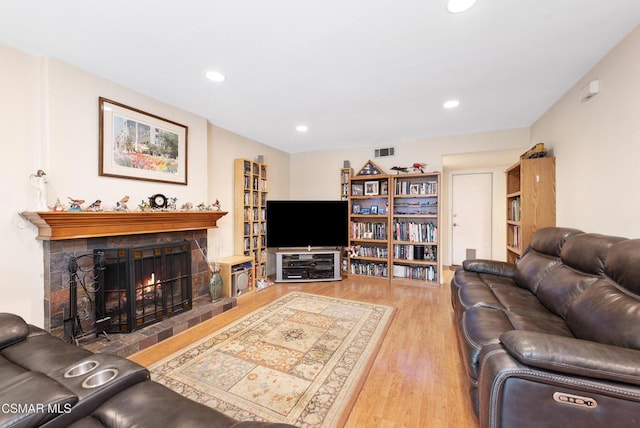 living room featuring a fireplace and wood-type flooring