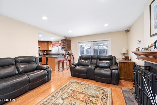 living room featuring light wood-type flooring