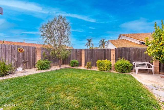 view of yard featuring a patio area