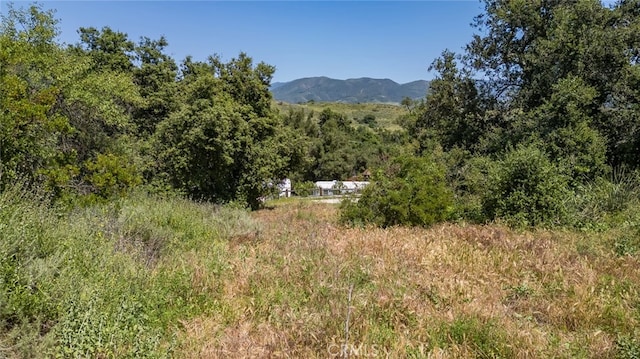 Listing photo 3 for 0 Danielle Ln, Trabuco Canyon CA 92678