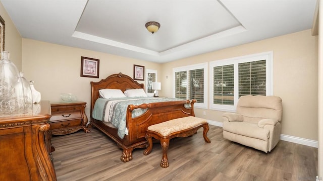 bedroom with a raised ceiling and wood-type flooring