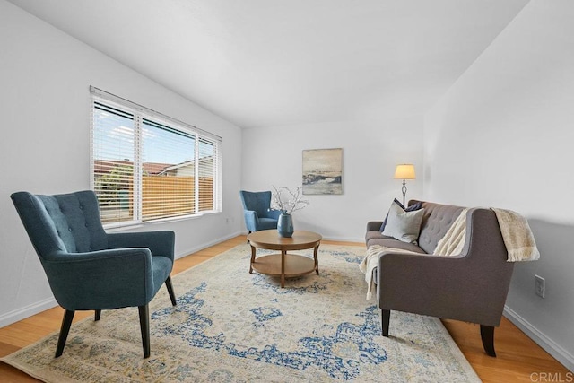 living room with hardwood / wood-style floors