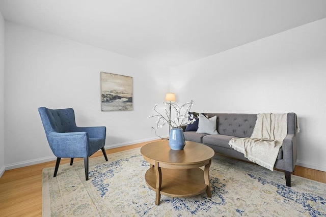 living room featuring hardwood / wood-style floors