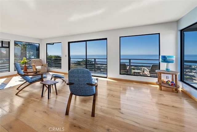 sitting room featuring a water view and light hardwood / wood-style flooring