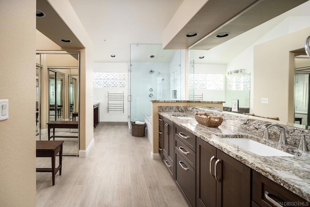 bathroom featuring vanity, hardwood / wood-style flooring, and a shower with door