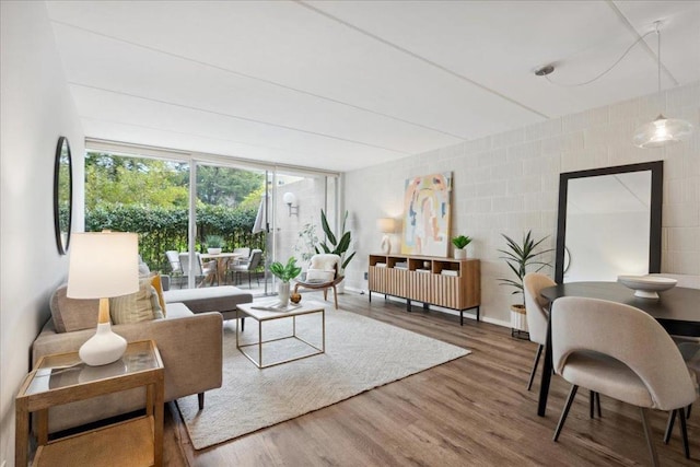 living room featuring hardwood / wood-style flooring