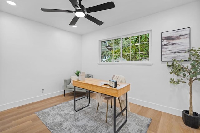 office space featuring ceiling fan and wood-type flooring