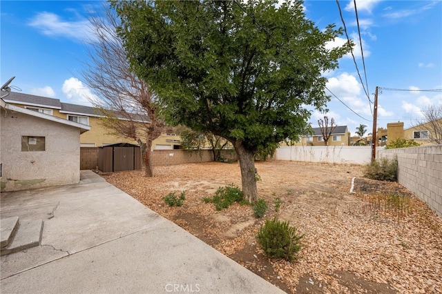 view of yard featuring a patio