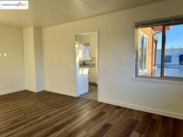 unfurnished room featuring sink and dark wood-type flooring