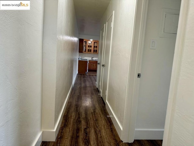 hallway featuring dark hardwood / wood-style flooring