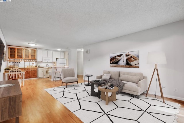 living room featuring light hardwood / wood-style floors and a textured ceiling