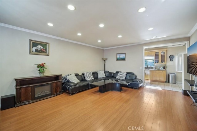 living room featuring crown molding and light wood-type flooring