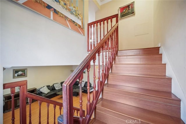 stairs with wood-type flooring