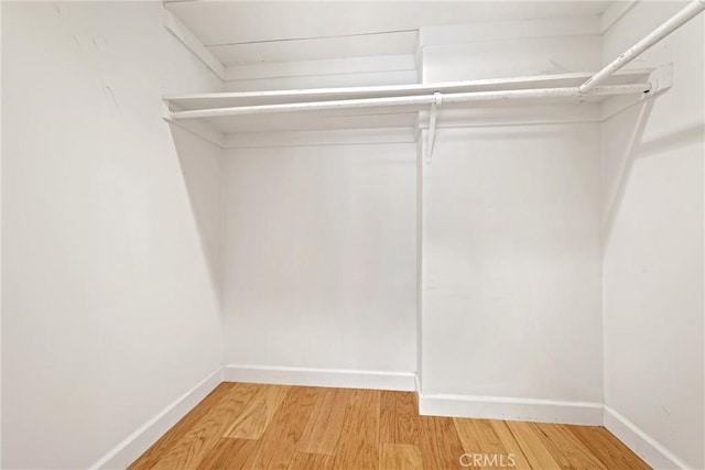 walk in closet featuring wood-type flooring