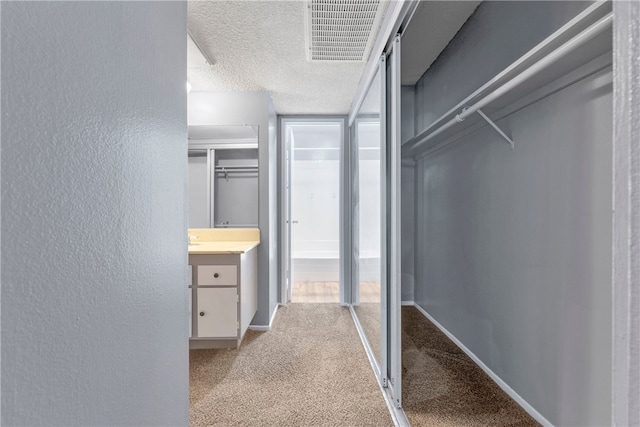 spacious closet featuring carpet