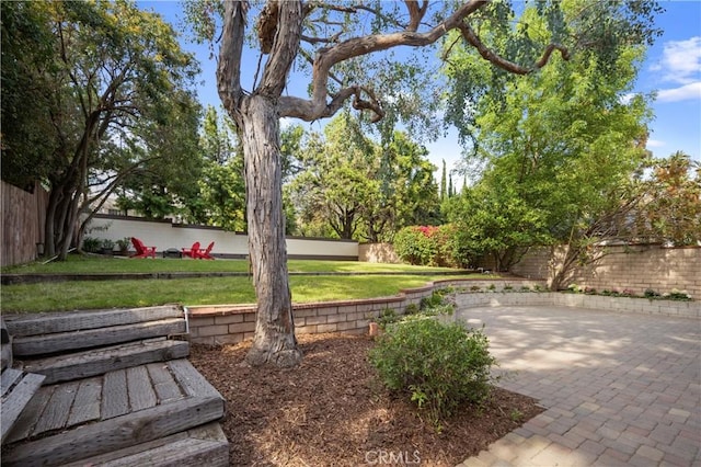 view of yard with a patio