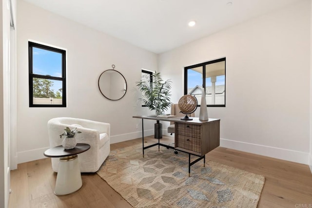 home office featuring light hardwood / wood-style floors