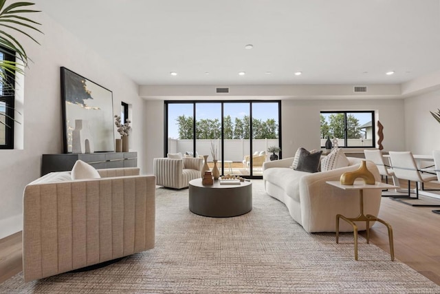 living room with light hardwood / wood-style floors