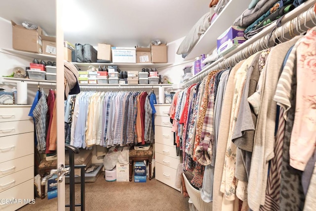 spacious closet featuring light colored carpet